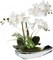 Artificial Flowers 15" White Phalaenopsis Orchid with Silver Pots Real Touch Faux Orchid Plant